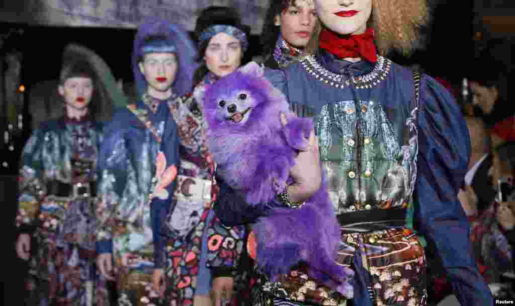 A dog accompanies models to present creations by Indian designer Manish Arora as part of his Fall/Winter 2016/2017 women's ready-to-wear collection in Paris, France.