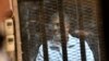 محمد مرسی رئیس جمهوری مخلوع مصر در قفس شیشه ای و فلزی، ضد گلوله و ضدصدا