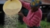 Africa Eyes Boosting Rice Crop to Fight Hunger 
