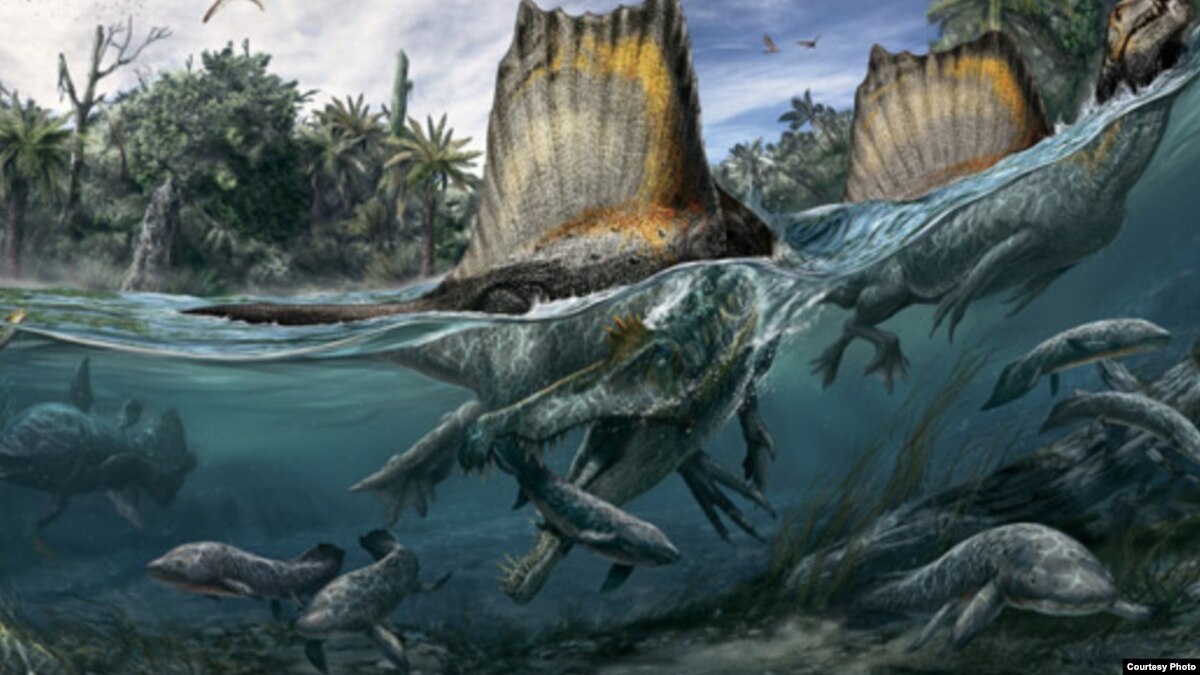 Scientists 'Unveil' First Semi-aquatic Dinosaur