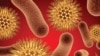 WHO: Growing Threat from Antibiotic Resistance 