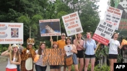 Активисты - "тигрозащитники"
