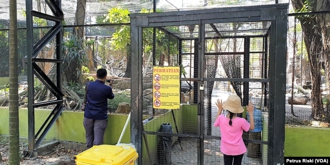 Kandang besar untuk burung atau aviary aves yang akan direvitalisasi Kebun Binatang Surabaya setelah mendapat Izin Lembaga Konservasi, Surabaya, 24 Mei 2019. (Foto: Petrus Riski-VOA)