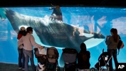 SeaWorld Company también anunció que podría cambiar sus planes de expandir sus tanques, un proyecto que ya había sido aprobado.