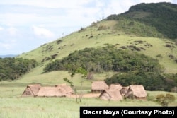 Yanomami live in small villages in a vast protected area in Venezuela. (Credit: Oscar Noya)