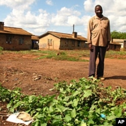 Antony Odiya, unable to access his family's land, grows sweet potatoes on a patch of dirt in Gulu, April 19, 2012. (VOA-H. Heuler)