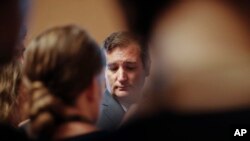 Sen. Ted Cruz, R-Texas, speaks to reporters on Capitol Hill in Washington, July 13, 2017.