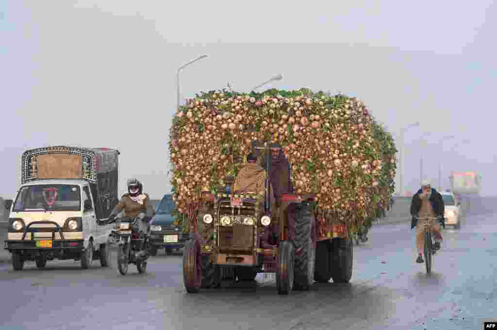 A Pakistani farmer drives a tractor loaded with radishes on the way to a vegetable market in Lahore.