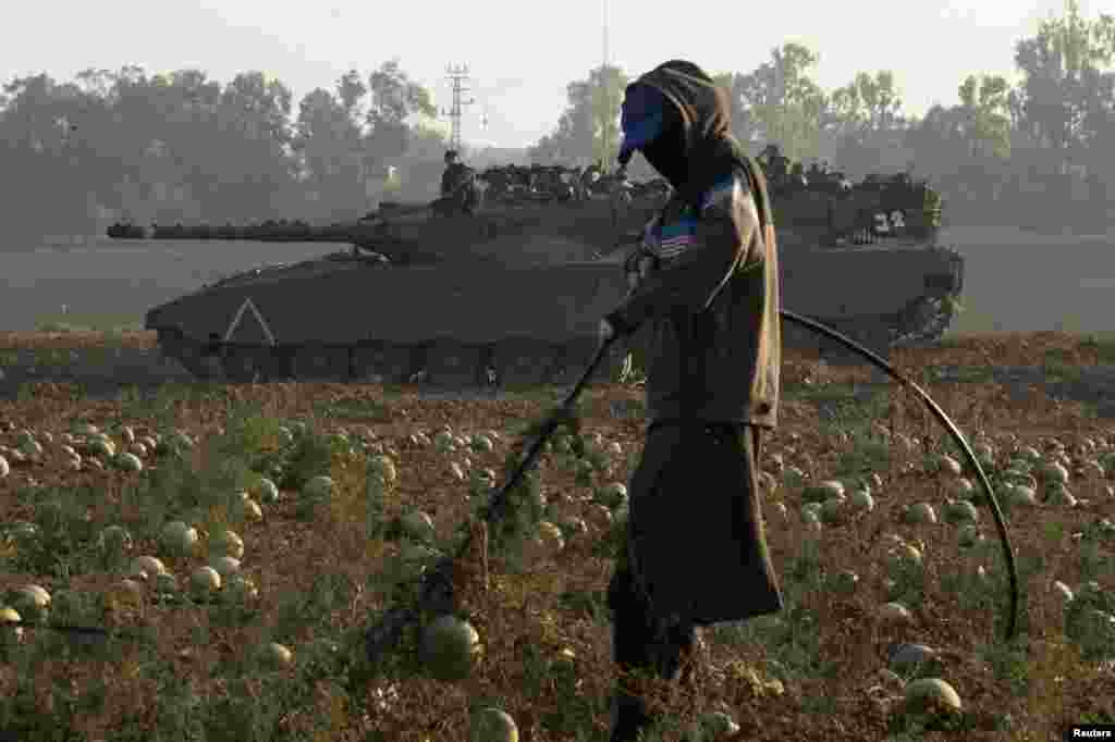Seorang buruh mengurus ladang semangka selagi tank ditempatkan dekat perbatasan dengan Gaza, 30 Juli 2014.