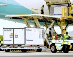 16 juta dosis vaksin buatan Sinovac diangkut oleh pesawat Garuda Indonesia dari China. (Foto: Biro Setpres)