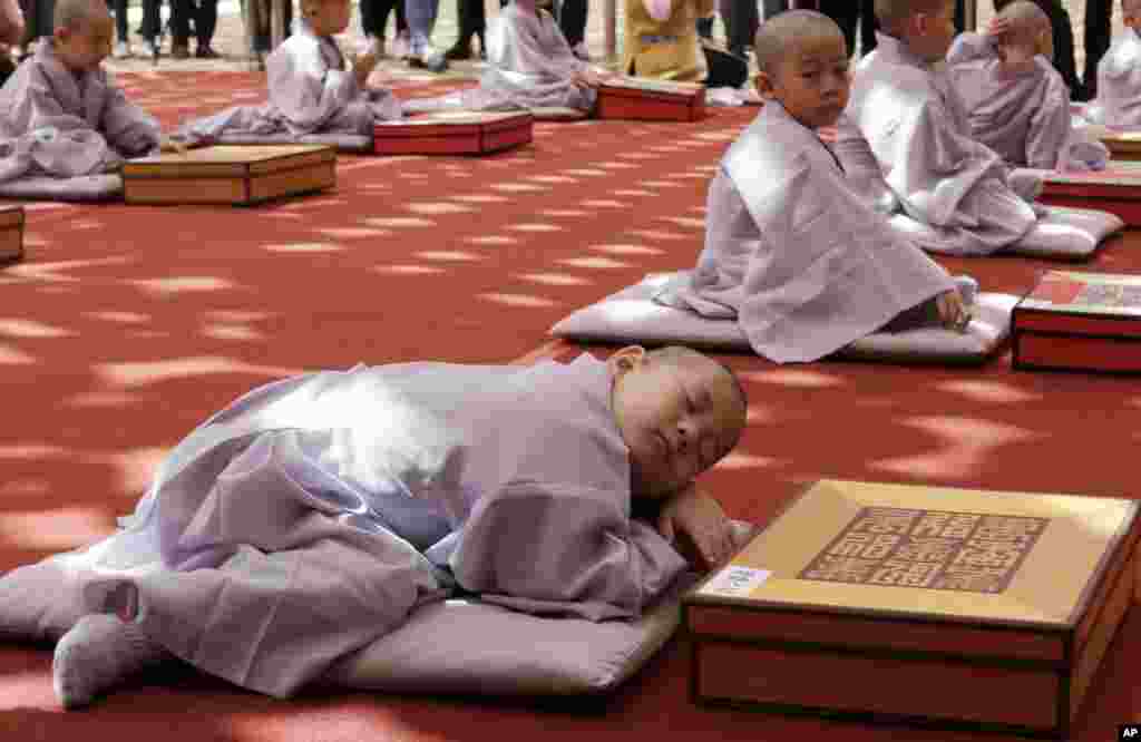 A boy whose Buddhist name is Myung Bub naps after having his head shaved during a service to celebrate Buddha&#39;s upcoming 2,563th birthday on May 12, at the Jogye Temple in Seoul, South Korea.