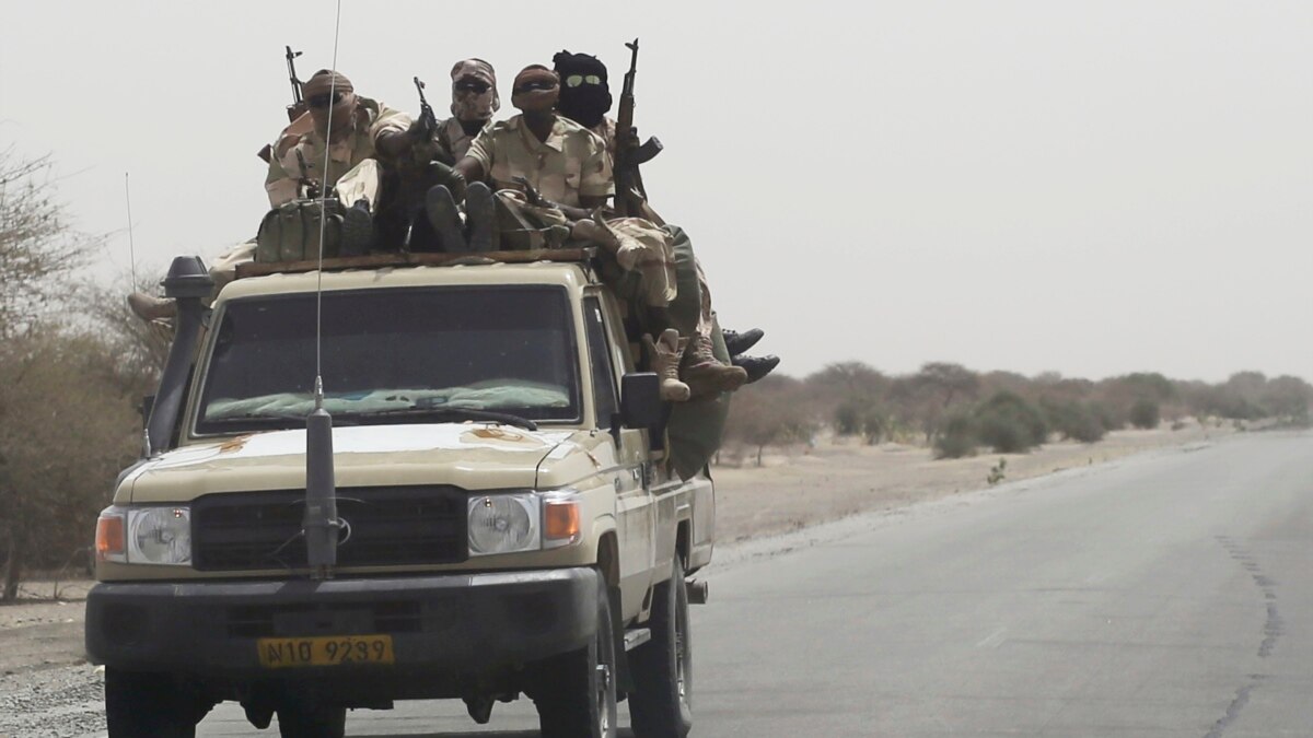 Chad, Niger Launch Joint Offensive Against Boko Haram