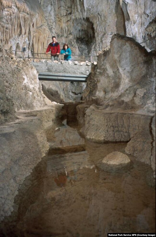 Cave pools can be found throughout the Big Room trail, but none are as large or deep as Longfellow's Bathtub