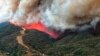 Лесные пожары в Калифорнии стали крупнейшими за всю историю наблюдений