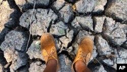 FILE: In this photo taken on Sunday, Oct. 27, 2019, a man stands on a sun baked pool that used to be a perennial water supply in Mana Pools National Park, Zimbabwe. An estimated 45 million people are threatened with hunger due to a severe drought.