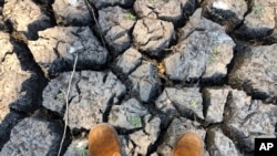 FILE: In this photo taken on Sunday, Oct. 27, 2019, a man stands on a sun baked pool that used to be a perennial water supply in Mana Pools National Park, Zimbabwe. An estimated 45 million people are threatened with hunger due to a severe drought.