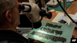 David Blank, a professor of classics at the University of California, looks through a microscope at an ancient papyrus at the Naples National Library in Italy, Jan. 20, 2015. 