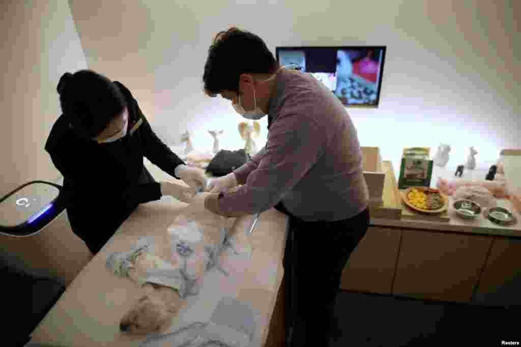 Kang Sung-il, a pet funeral manager, dresses the body of a dog in funeral clothes before its cremation at a pet funeral service company in Gwangju, South Korea.