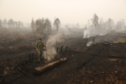 Seorang tentara memeriksa kebakaran lahan gambut di dekat Palangka Raya, Kalimantan Tengah, 28 Oktober 2015. (Foto: REUTERS/Darren Whiteside)