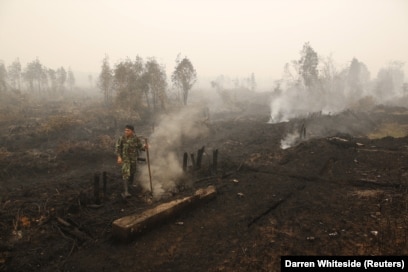 Seorang tentara memeriksa kebakaran lahan gambut di dekat Palangka Raya, Kalimantan Tengah, 28 Oktober 2015. (Foto: REUTERS/Darren Whiteside)