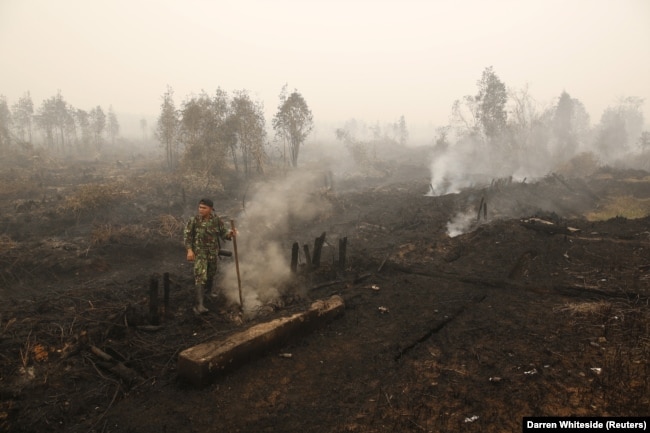 Seorang tentara memeriksa kebakaran lahan gambut di dekat Palangkaraya, Kalimantan Tengah (foto: ilustrasi).