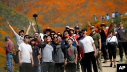 People pose for a picture among wildflowers in bloom Monday, March 18, 2019, in Lake Elsinore, Calif. (AP Photo/Gregory Bull)