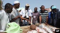 Pêcheurs sénégalais