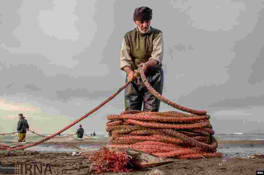 یک صیاد در انزلی خود طناب تور ماهیگیری را آماده می کند. عکس: مجتبی محمدی