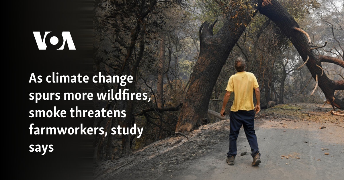 As climate change spurs more wildfires, smoke threatens farmworkers, study says