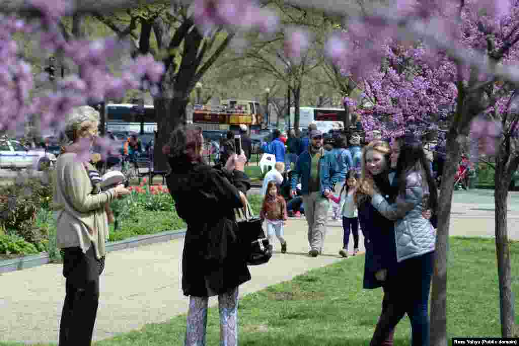 Blossom Kite Festival 2016 on the National Mall in Washington, DC