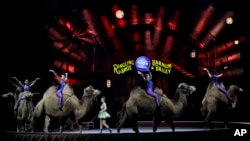 Para pemain sirkus yang tergabung dalam Ringling Bros. and Barnum & Bailey mengendarai unta-unta dalam pertunjukkannya hari Sabtu (14/1). Orlando, Florida. (foto: AP Photo/Chris O'Meara)