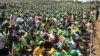 Mugabe: We Are Not Using State Machinery for Election Rallies