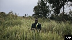 Umurwanyi wa CODECO mu ntara ya Ituri