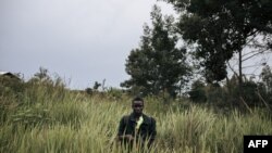 Un milicien du groupe armé URDPC/CODECO dans la province d'Ituri, le 18 septembre 2020. (Photo by ALEXIS HUGUET / AFP)