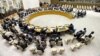Amnesty Says UN Security Council 'Unfit for Purpose'
