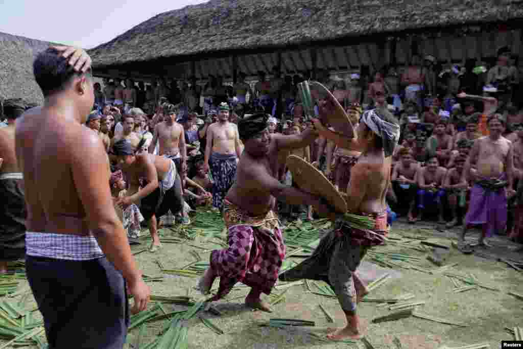 Dua pria bertarung dengan menggunakan daun pandan berduri pada festival tahunan ritual Mekare-kare di Desa Tenganan Pulau Bali.