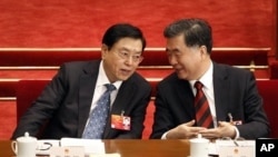 中共高官张德江（左）与汪洋2012年3月8日在人大会议上