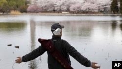 A man removes his mask to stretch and take a deep breath across from cherry blossoms at the Yuyuantan Park in Beijing on Thursday, March 26, 2020. 