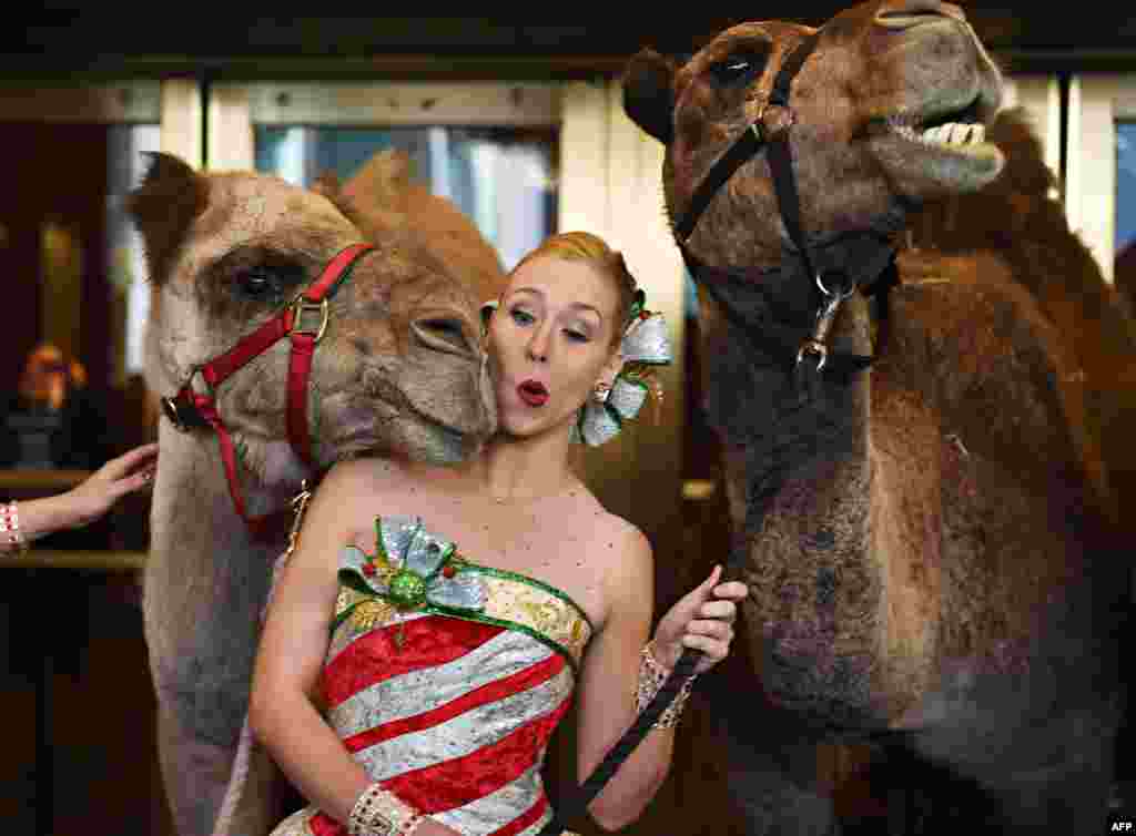 Radio City Rockette Lauren Renck is nudged by a camel right before Timothy Cardinal Dolan, Archbishop of New York, blesses the animals in the Radio City Christmas Spectacular in New York.