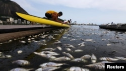 Dead fish are pictured next to a rowing athlete as he puts his boat on the water before a training session at the Rodrigo de Freitas lagoon, in Rio de Janeiro, Brazil, April 13, 2015.