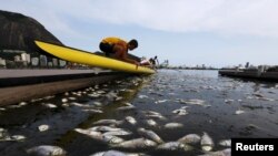 Dead fish are pictured next to a rowing athlete as he puts his boat on the water before a training session at the Rodrigo de Freitas lagoon, in Rio de Janeiro, Brazil, April 13, 2015.