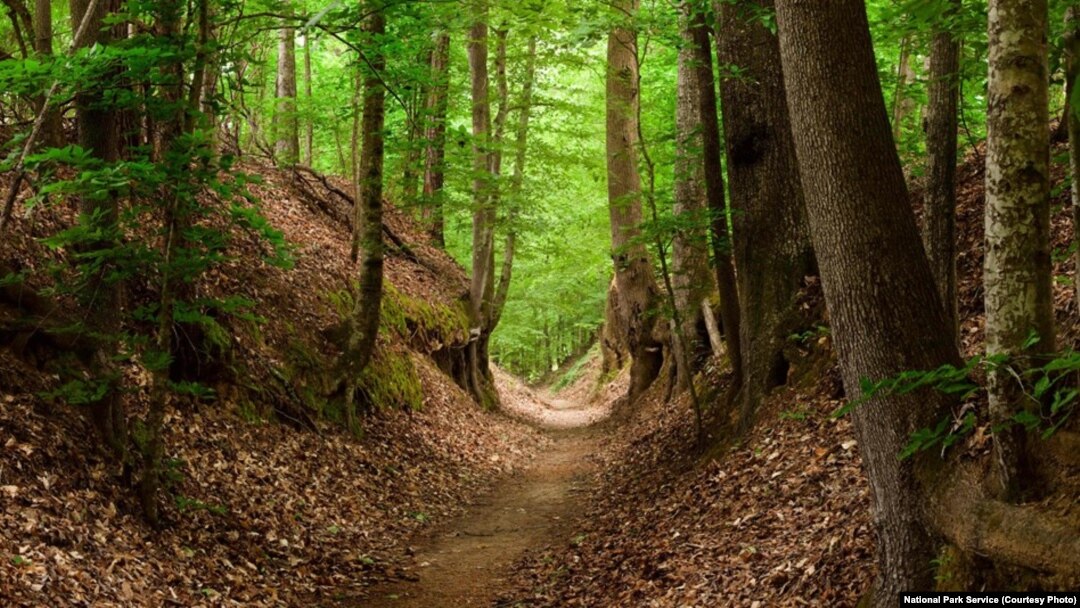 Following the Footsteps of Generations Along Natchez Trace