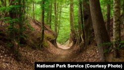 The 725-kilometer foot trail that became known as the Natchez Trace was a lifeline through the Old Southwest.
