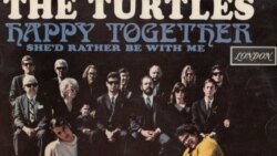 록음악 속으로 (12) Turtles