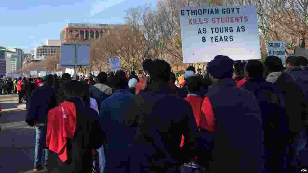 ንስጉምትታት መንግስቲ ኢትዮጵያ አብ ጉዳይ ተቃውሞ ተማሃሮ ኦሮሞ ብዝምልከት አብ ዋሽንግተን ዲሲ ዝተካሄደ ሰላማዊ ሰልፊ