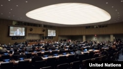 뉴욕 유엔본부에서 유엔총회 제1위원회 회의가 열리고 있다.