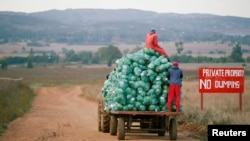 FILE - Farm workers harvest cabbages at a farm in Eikenhof, near Johannesburg, South Africa, May 21, 2018. 
