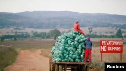 FILE - Farm workers harvest cabbages at a farm in Eikenhof, near Johannesburg, South Africa, May 21, 2018. 