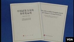 中國日前公佈新的國防白皮書