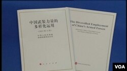 中國日前公佈新的國防白皮書